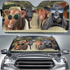 Funny Car Sun Shade (Preorder)