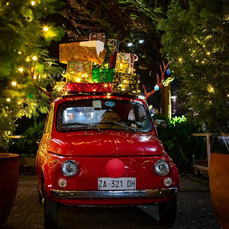 Homezo™ Christmas Car Reindeer Decorations
