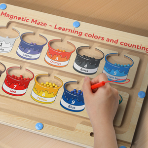 Homezo™ Magnetic Color and Number Maze
