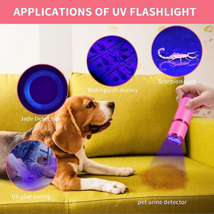 Homezo™ Mini UV Light for Polygel Nails (Buy 2 Get 1 FREE)
