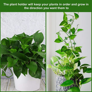 Homezo™ Multifunctional Plant Climbing Holder (Set of 10)