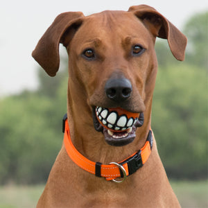 Homezo™ Smiling Dog Ball